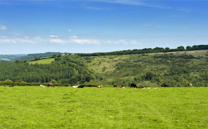 Bed and Breakfast Zeal Farm Далвертон Экстерьер фото